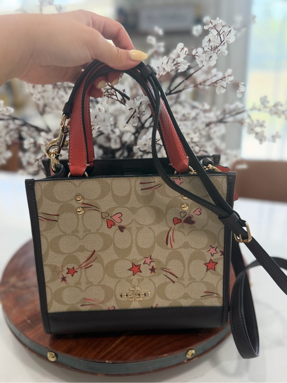 Coach Signature Mini Tote with Red Handles and Black Trim
